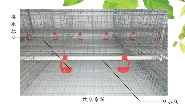 圖片關(guān)鍵詞